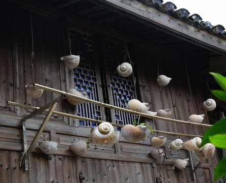 浙江 寧波 象山