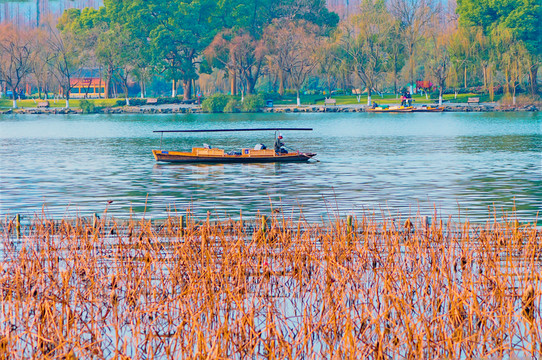 西湖風景