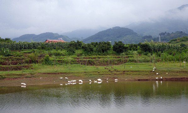 美麗鄉(xiāng)村