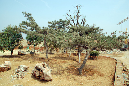 建筑施工 樓房建造