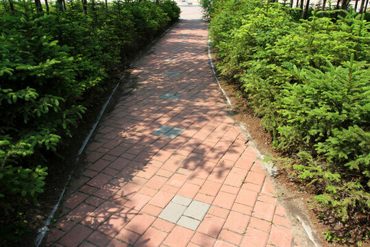 小路
