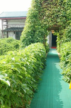門
