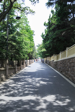 林蔭道