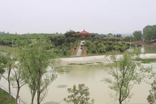 環(huán)巢湖風(fēng)光
