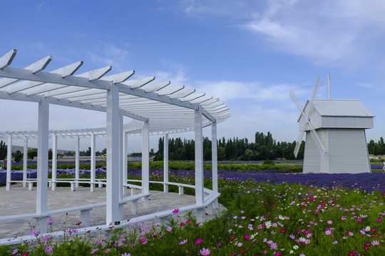 薰衣草公園