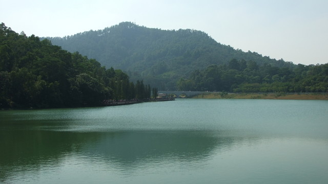 大夫山湖泊