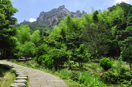 上山綠色小路