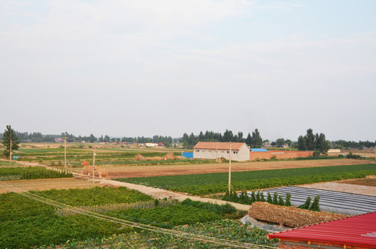 農(nóng)村農(nóng)田