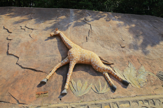 哈爾濱北方森林動(dòng)物園