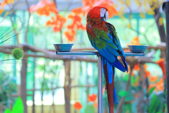 哈爾濱北方森林動(dòng)物園