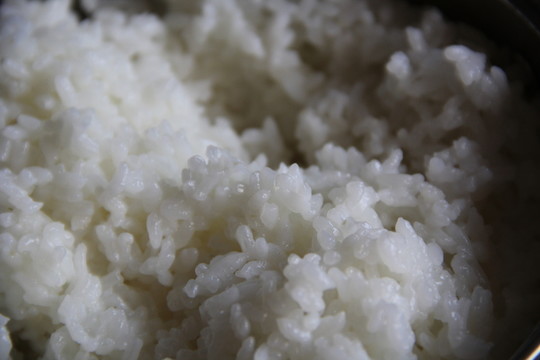 大米飯