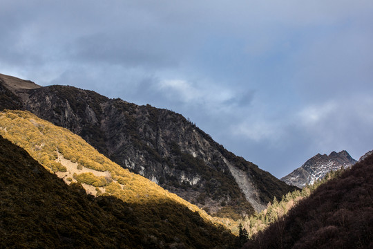 四姑娘山