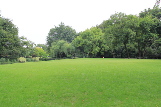 綠色生態(tài)公園