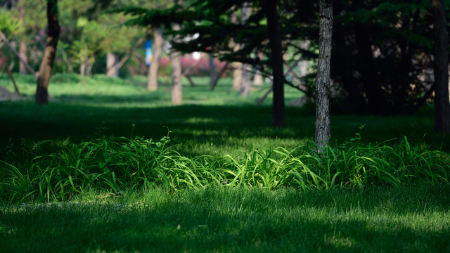 公園小景