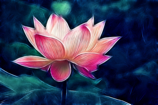 夢幻荷花