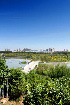 大慶 乘風(fēng)生態(tài)園