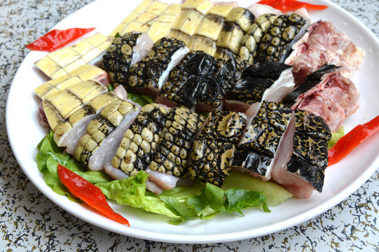 鱷魚(yú)肉