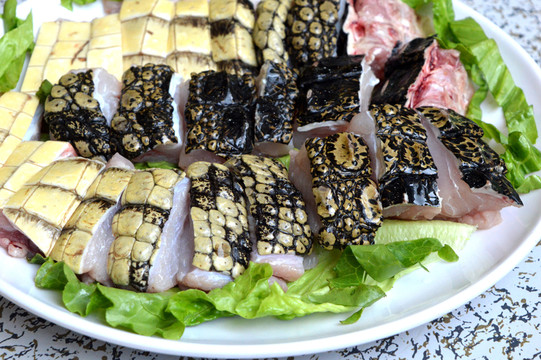 鱷魚肉