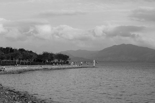深圳灣公園