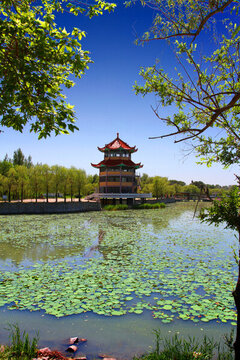 大慶 鐵人公園 涼亭
