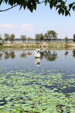 大慶 鐵人公園