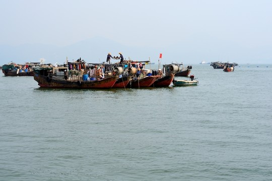 蛇口海上風光