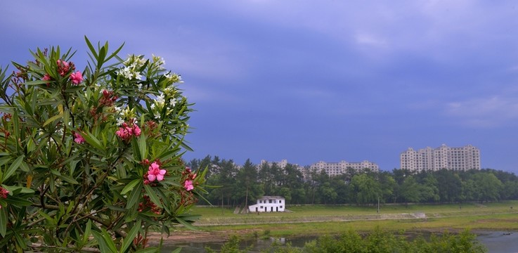 城鎮(zhèn)風(fēng)貌