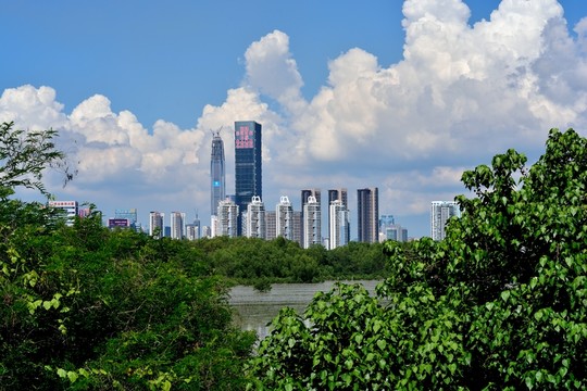 深圳風(fēng)光