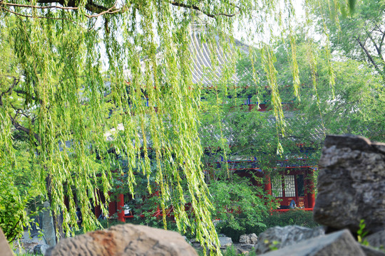 圓明園風(fēng)景
