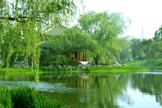圓明園風(fēng)景