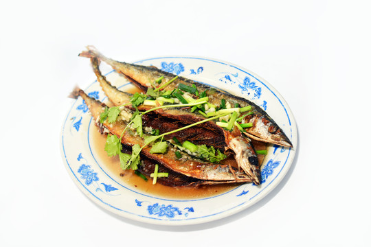 秋刀魚(yú)