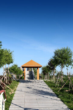 萬寶湖 生態(tài)園 涼亭