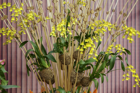 花藝 花卉造型