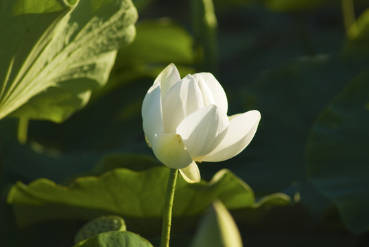 樓梯