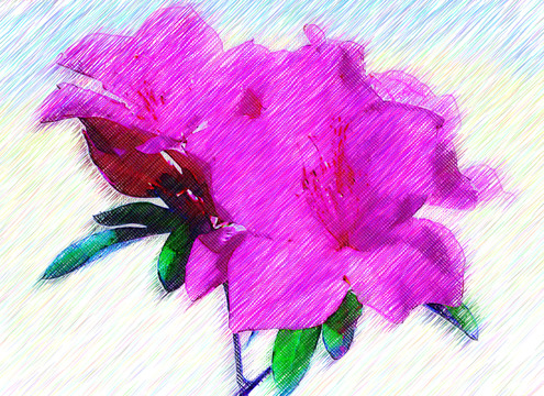 兒童房裝飾畫 水彩畫 花