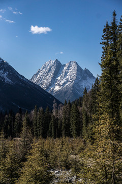四姑娘山