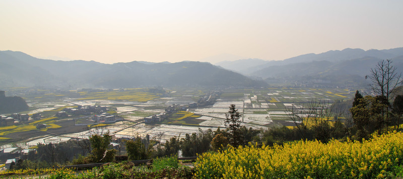 敘永落卜云山壩萬畝稻田油菜花