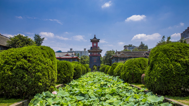 四川大學(xué)