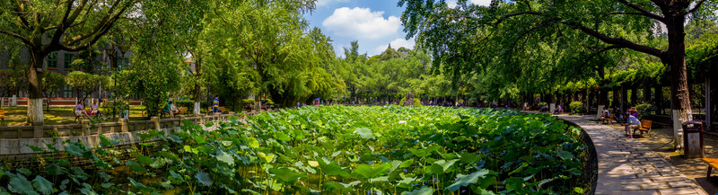 四川大學(xué)