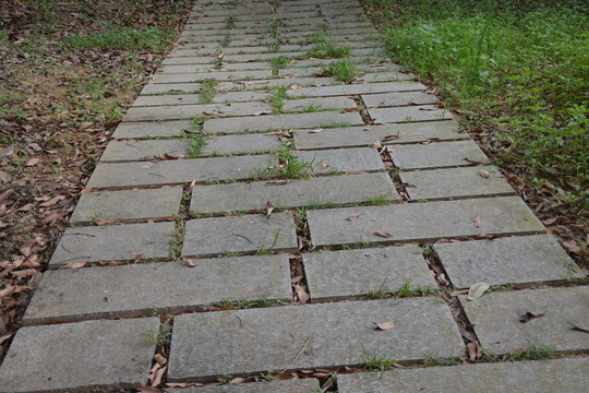 石板路