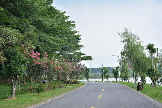 樹林