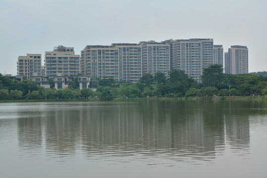高樓