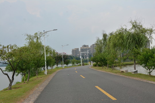 樹(shù)林