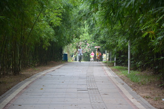 樹林