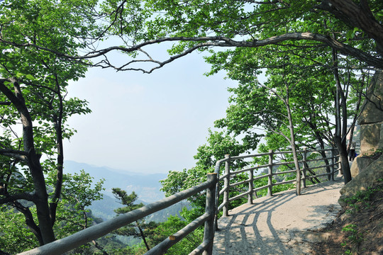 山間修路