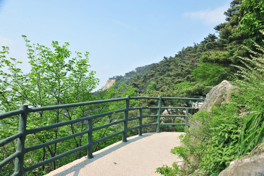 環(huán)山路