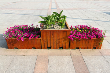 休閑椅 花卉