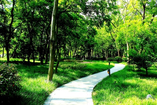 鳳凰山公園風光
