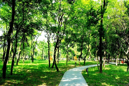 鳳凰山公園風光