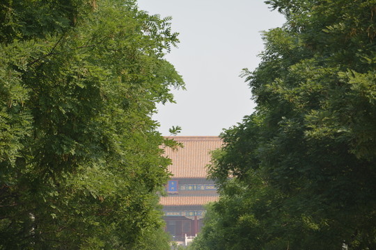 故宮風(fēng)景